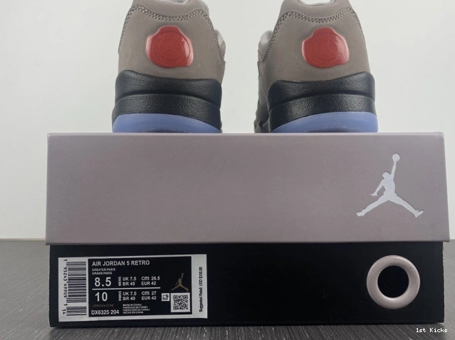 568 Jordan PSG Low 5 Air DX6325- StreetReady x 1224